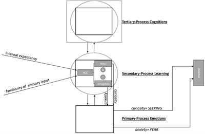 Anxiety and curiosity in hierarchical models of neural emotion processing—A mini review